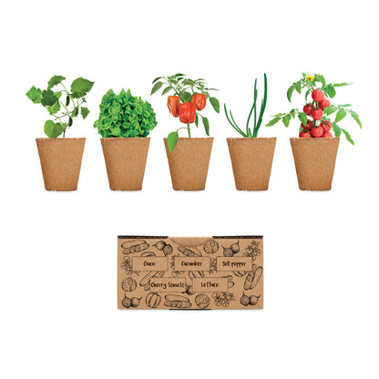  Kit de cultivo de 5 verduras en tiesto de cartón. Caja con ilustraciones