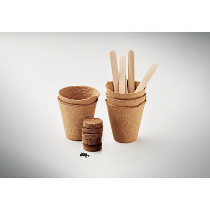 4 macetas con guías de madera y semillas