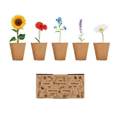 5 macetas con flores y caja de cartón impresa