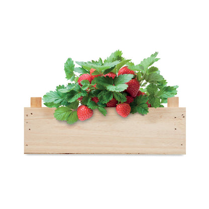 Caja de madera con planta de fresas