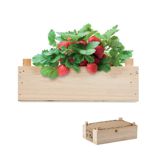 STRAWBERRY - Kit de fresas en caja madera