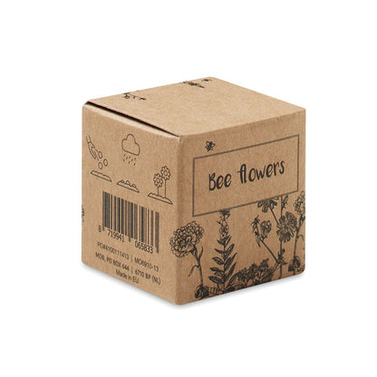 Caja de cartón con semillas de flores de abeja