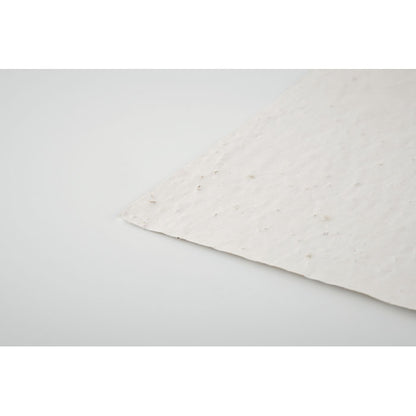 Detalle papel blanco ecológico con semillas