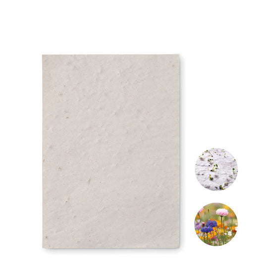 ASIDO - Hoja A6 de papel con semillas