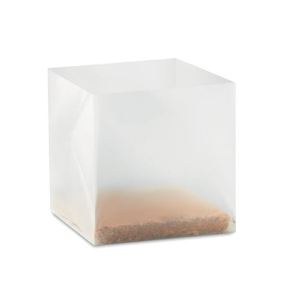 Maceta transparente para planta