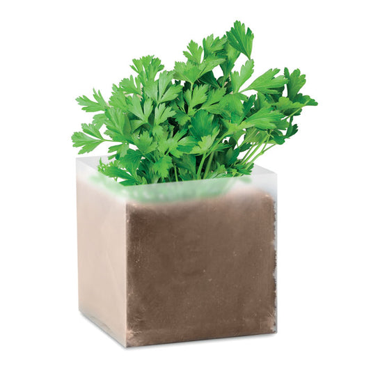 PARSELY - Bolsa con semillas de perejil